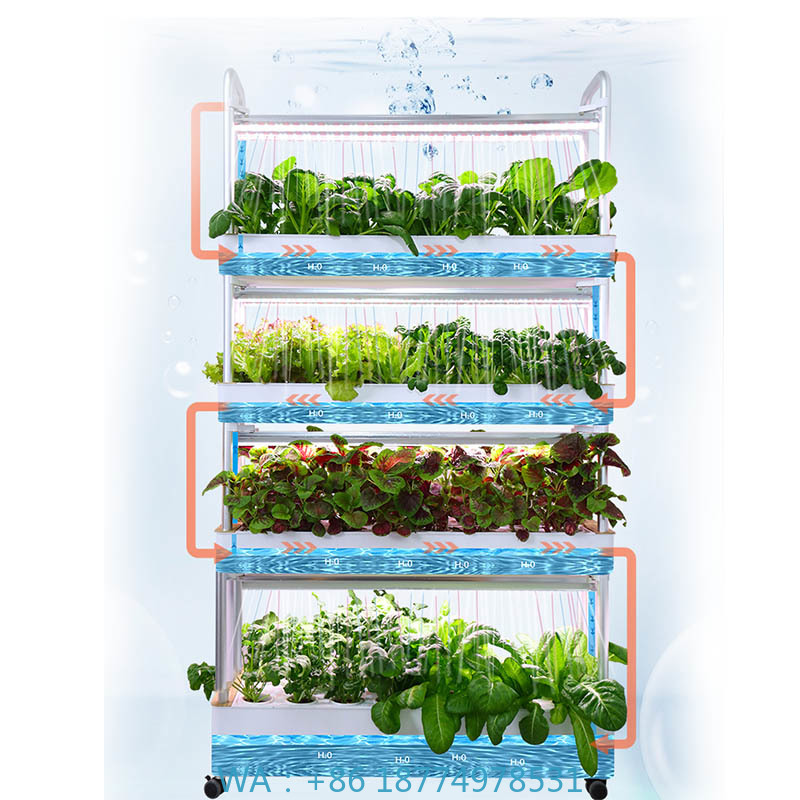Smart Home Automation System - ydroponic plantsysteem Smart Home Automation-systeem te