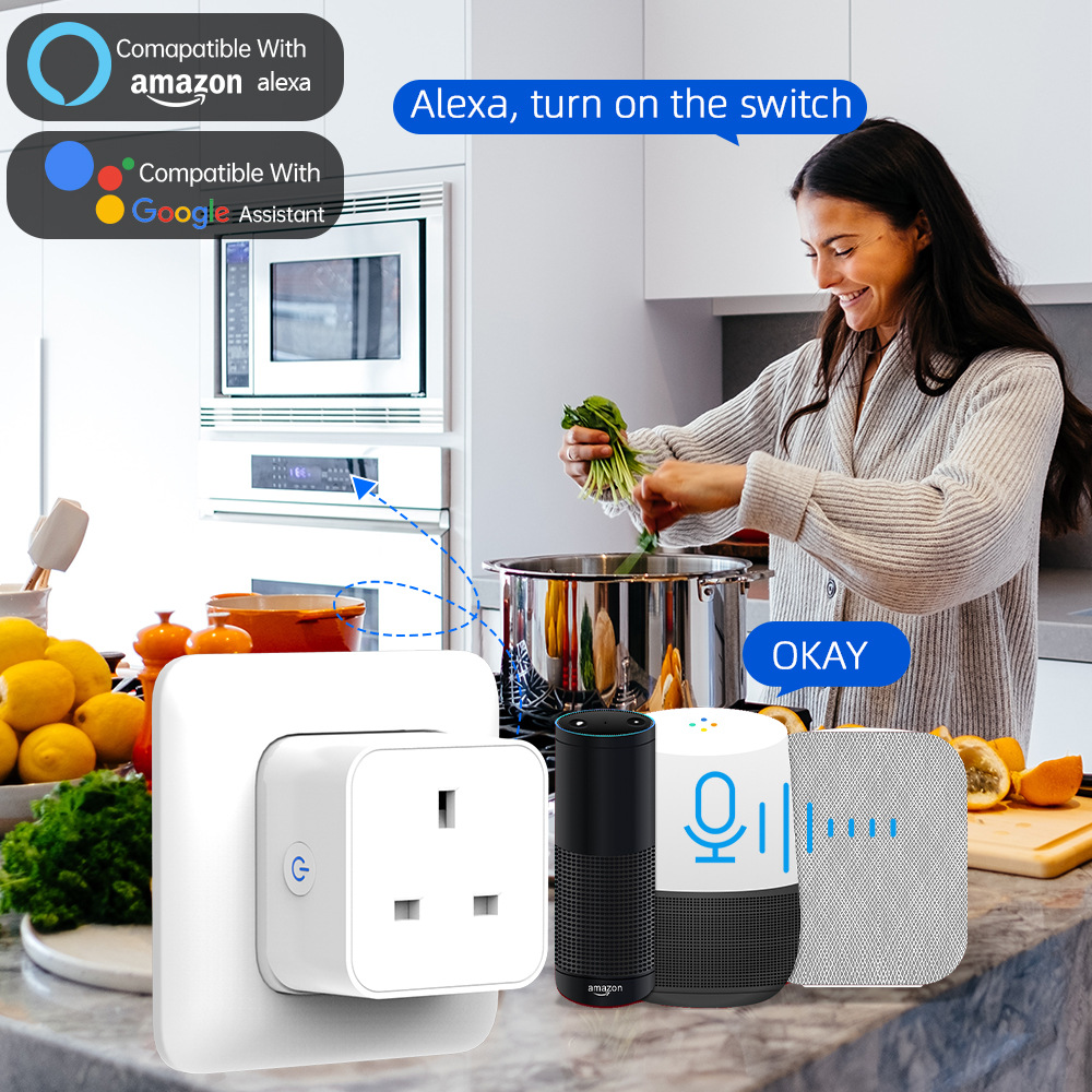 Tuya Smart Socket 16A/20A WiFi - Smart Home Wiser recensie en prijs