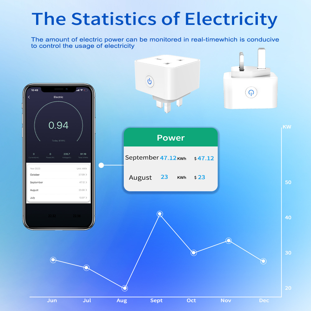 Tuya Smart Socket 16A/20A WiFi - Smart Home Wiser recensie en prijs