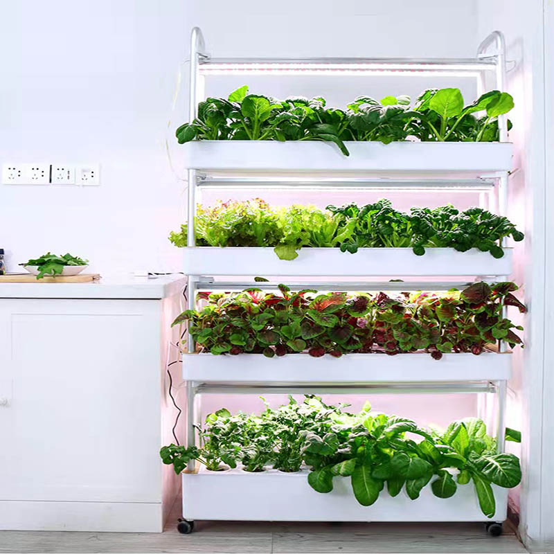 ydroponic plantsysteem Smart H - Smart Home Automation System recensie en prijs