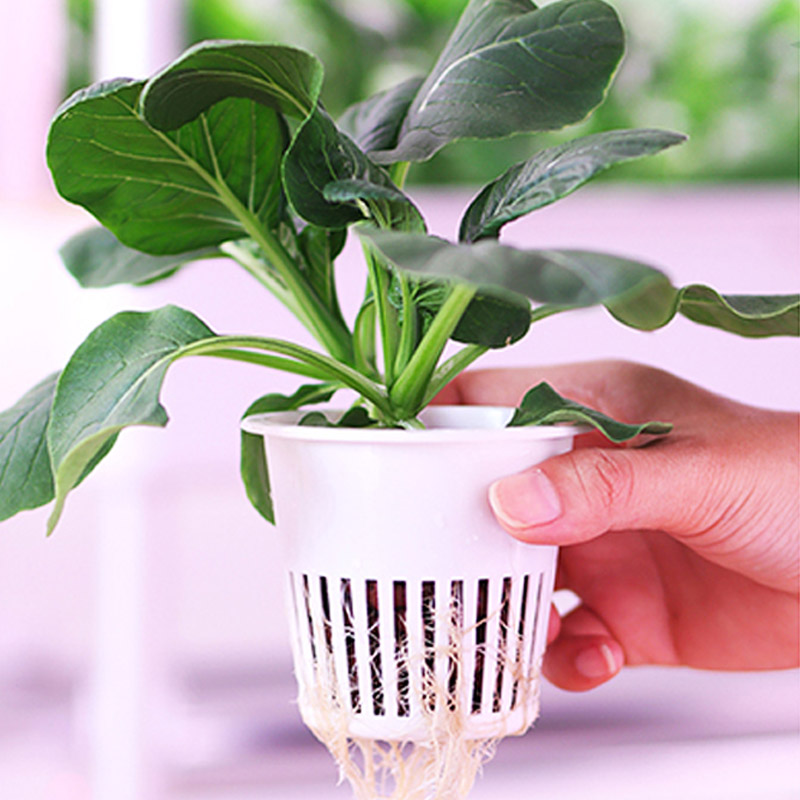 ydroponic plantsysteem Smart H - Smart Home Automation System recensie en prijs